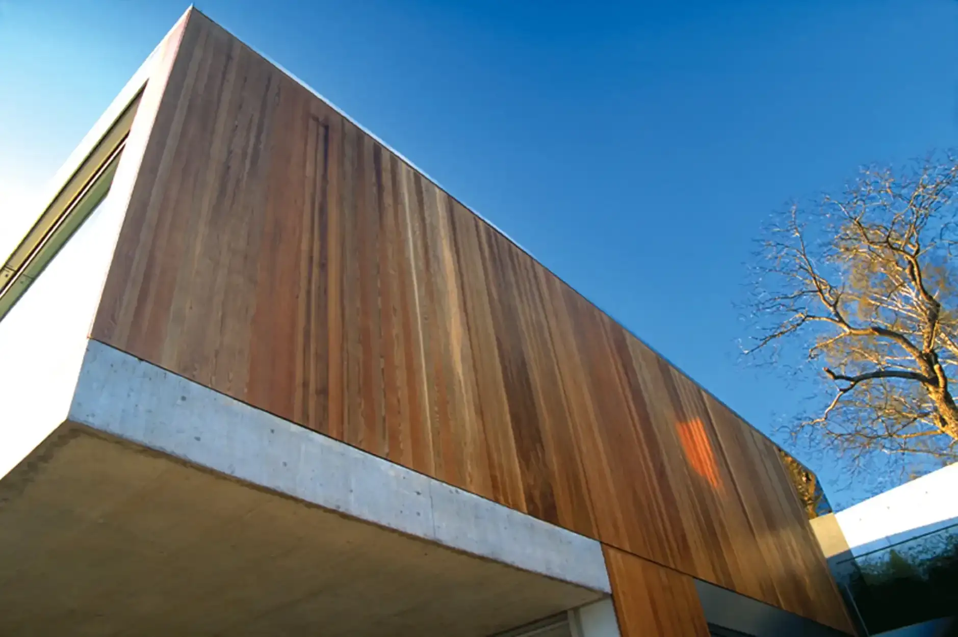 B95 Foto Aussen Holzfassade