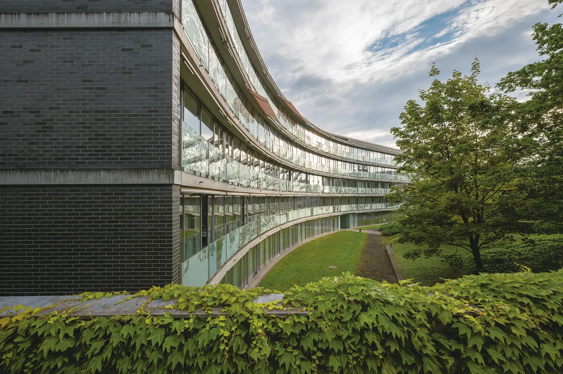 C12 Foto Aussen Garten