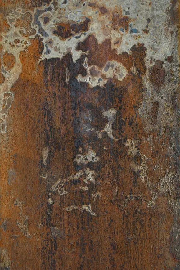 C24 Foto Aussen Nordfassade Fassadendetail