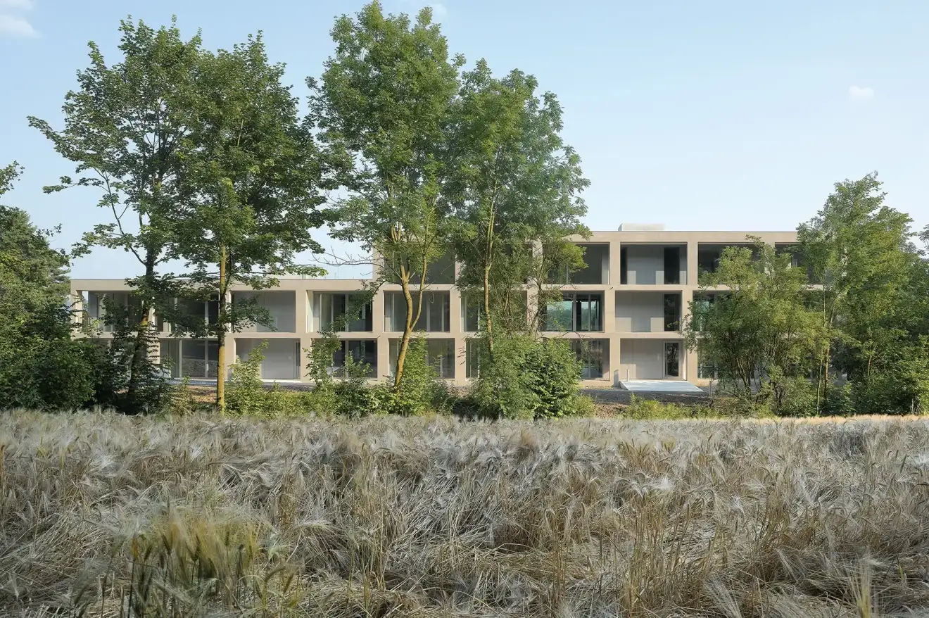 D32 Foto Aussen Wiese