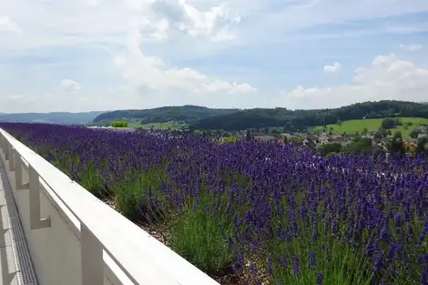 E69 A Foto Aussen Terrassenaussicht