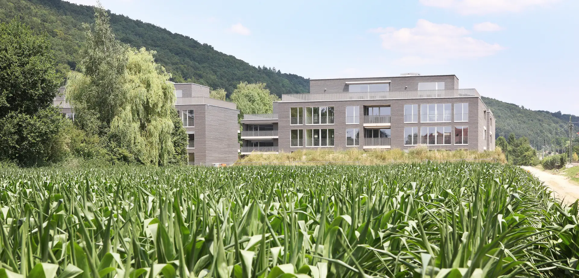 F04 Foto Aussen Nordostfassade Header