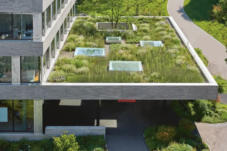 F26 Foto Aussen Vordachbegrünung