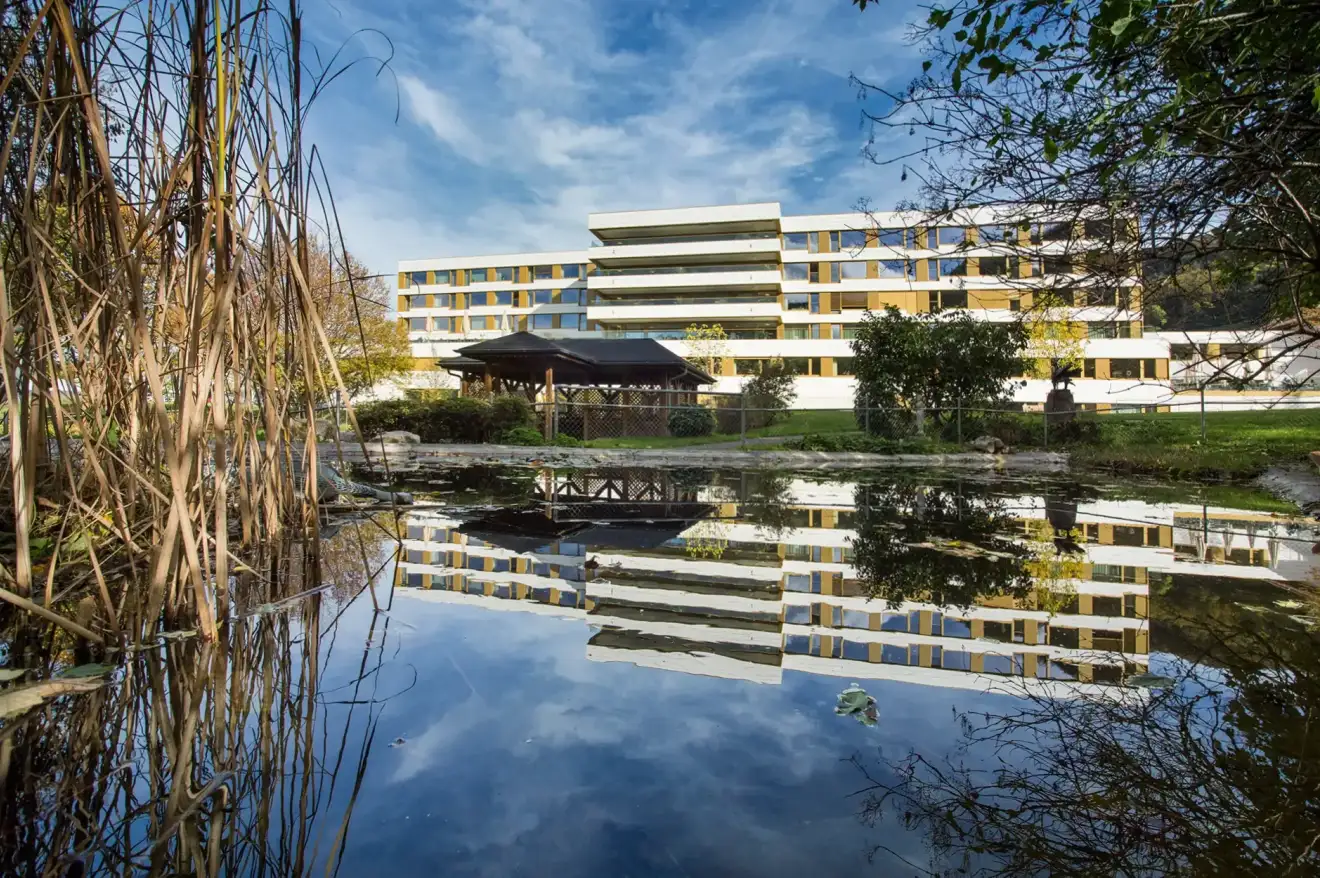 F33 Foto Aussen Teich