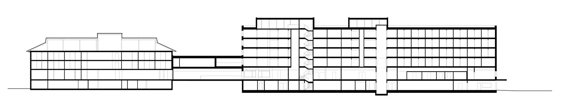 F33 HP Längsschnitt