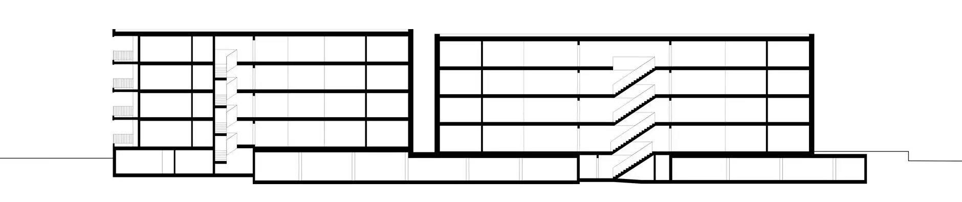 F36 HP Längsschnitt 2