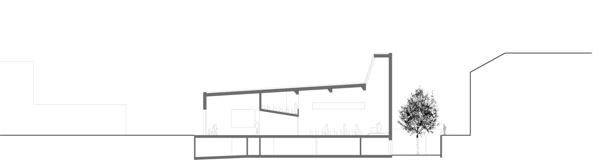 F39 HP Schnitt 2