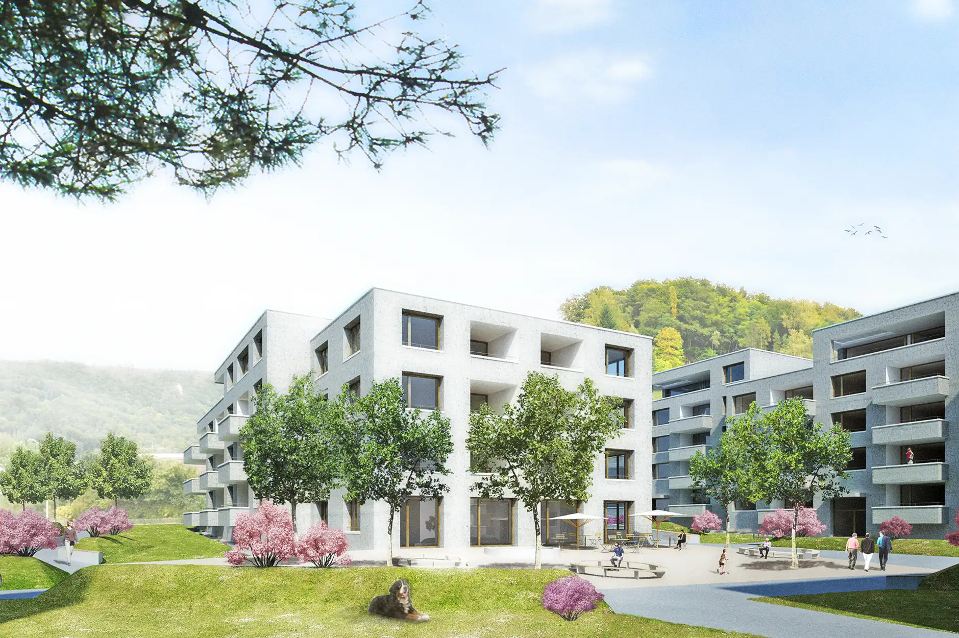 F61 Visualisierung Aussen Sitzplatz 2