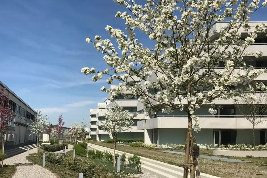 F68 Foto Aussen Strasse 01