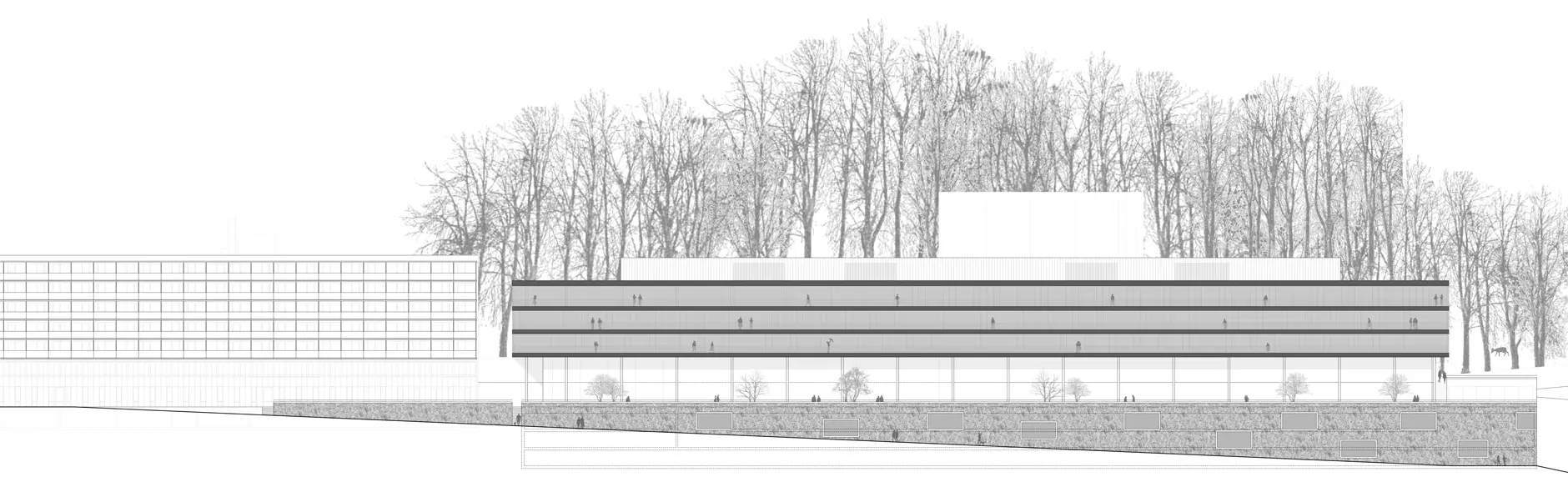 G03 HP Fassade Süd