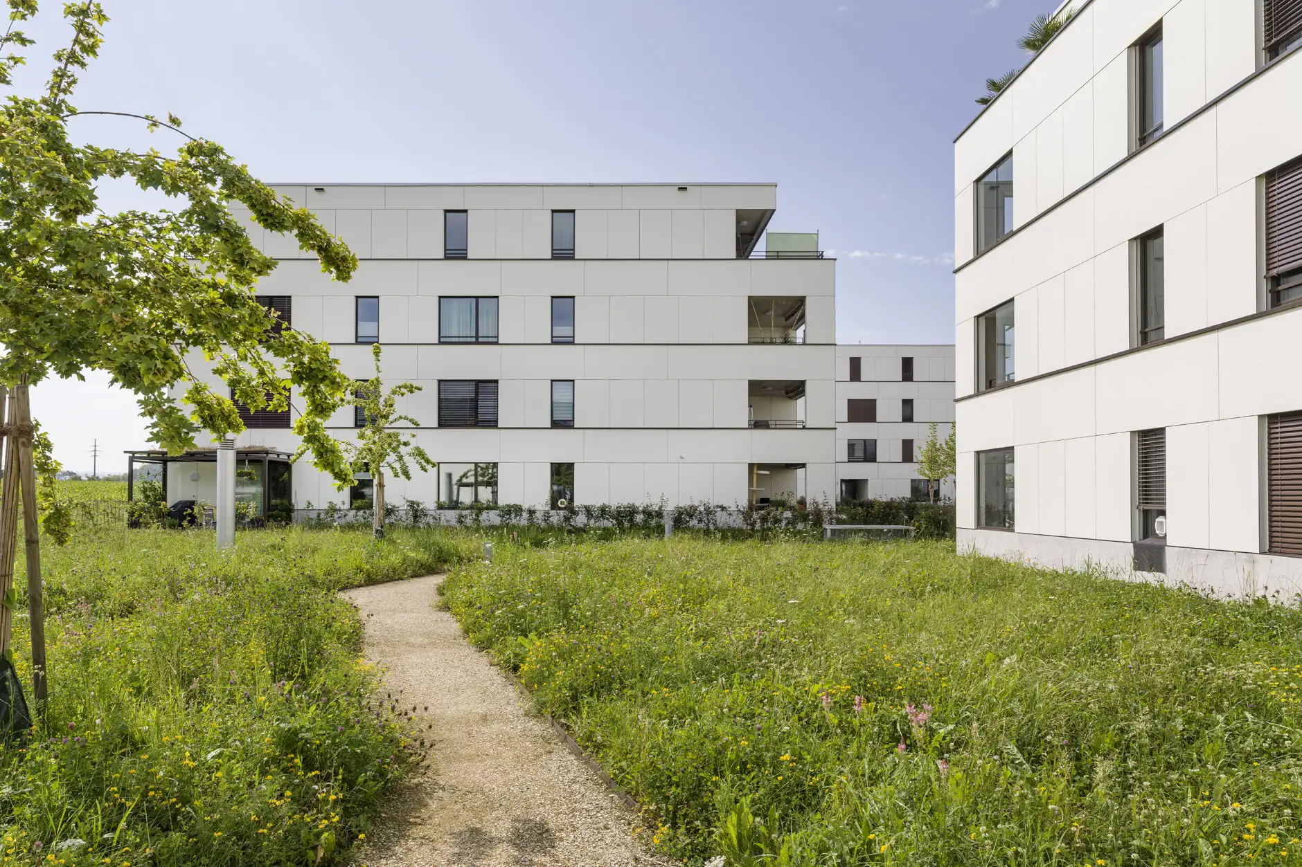 G32 Foto Aussen Fussweg Wiese