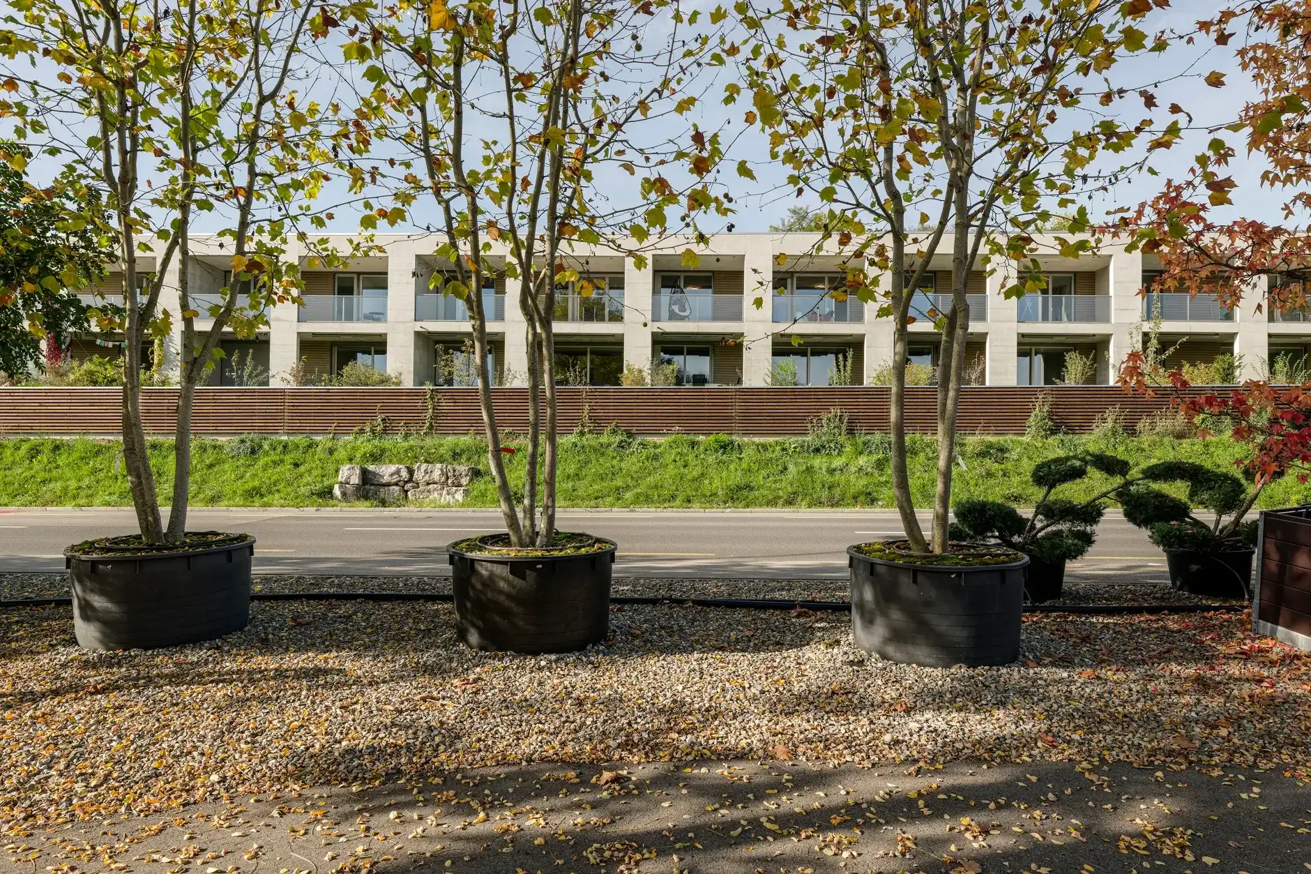 G62 Foto Aussen Pflanzkübel 01