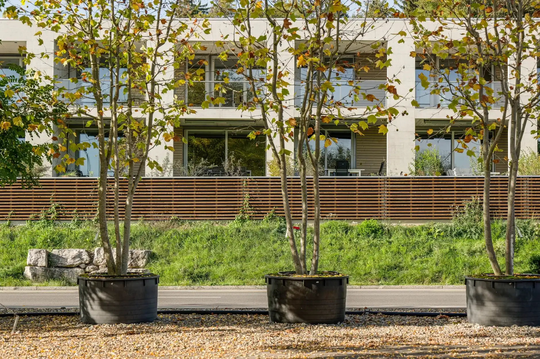 G62 Foto Aussen Pflanzkübel 02