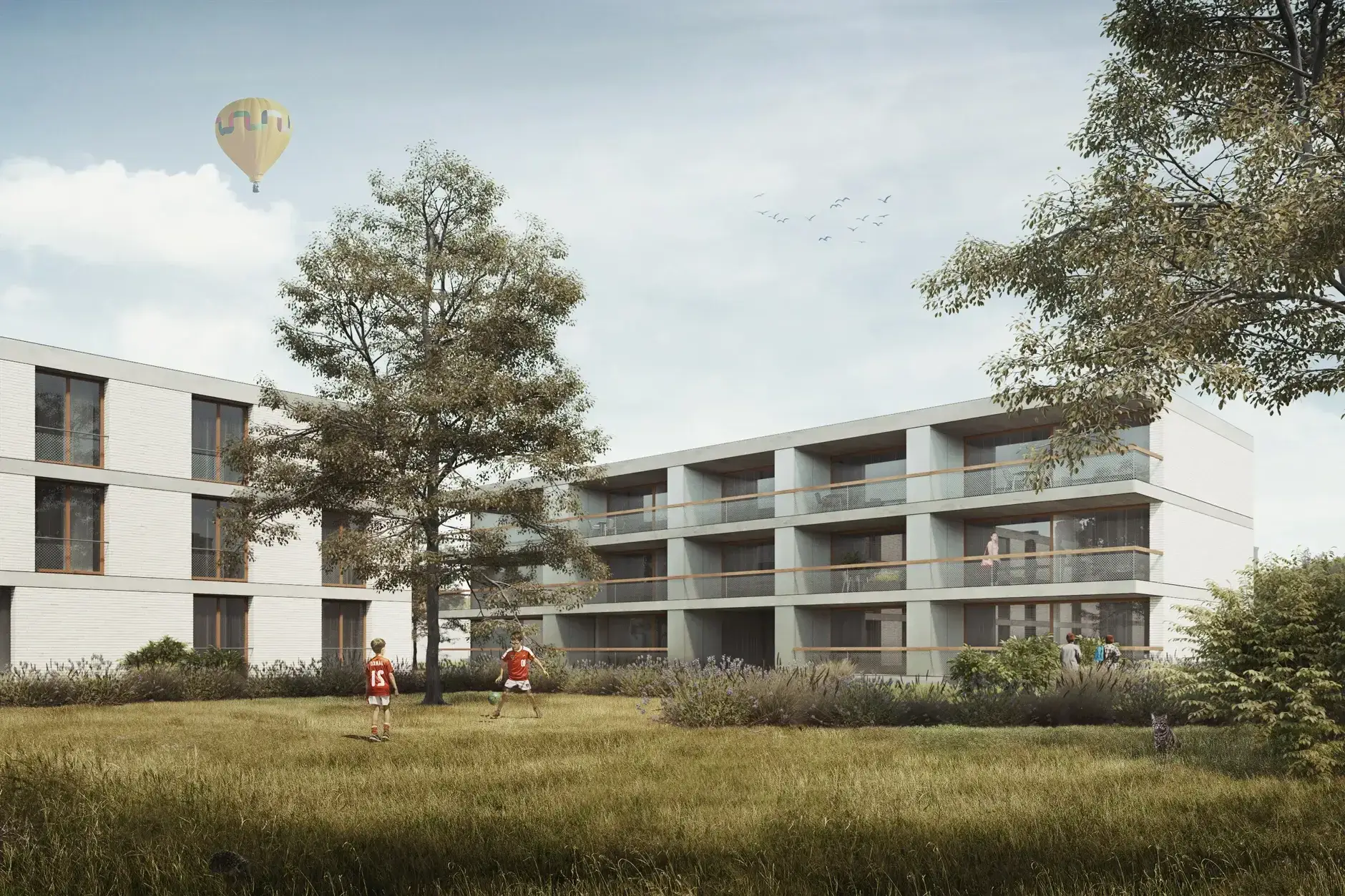 H05 Visualisierung Aussen Wiese