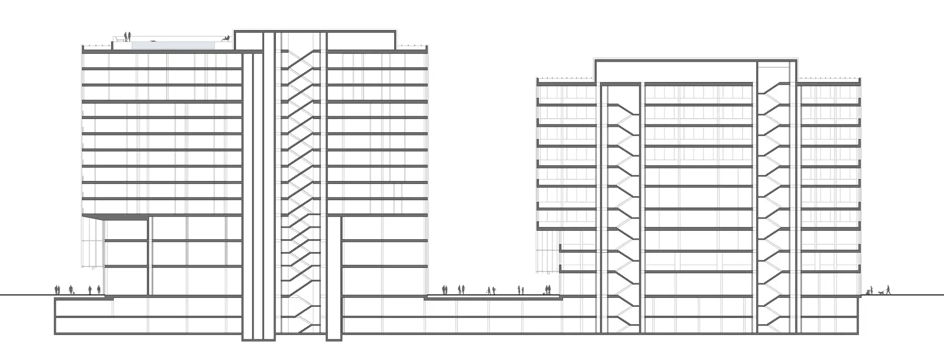 H11 HP Längsschnitt