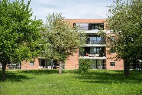 H37 Foto Aussen MFH Garten 03