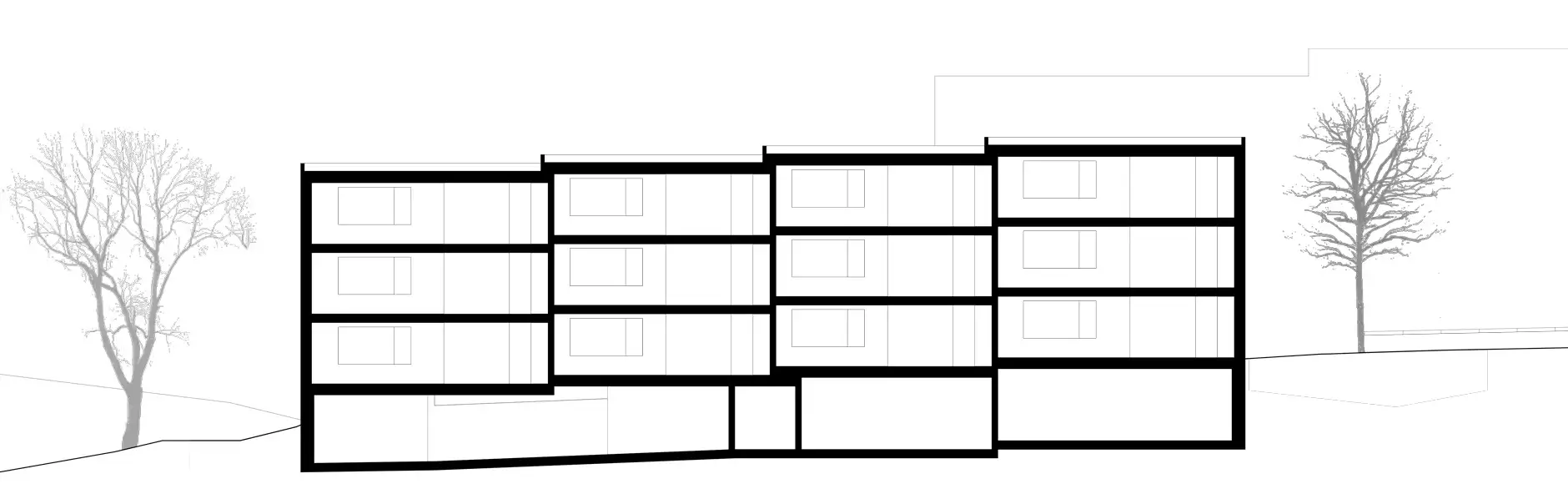 H41 HP Längsschnitt 1